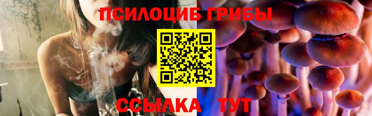 Псилоцибиновые грибы мухоморы  Псилоцибиновые грибы MAGIC MUSHROOMS  Кострома  Вход с VPN 